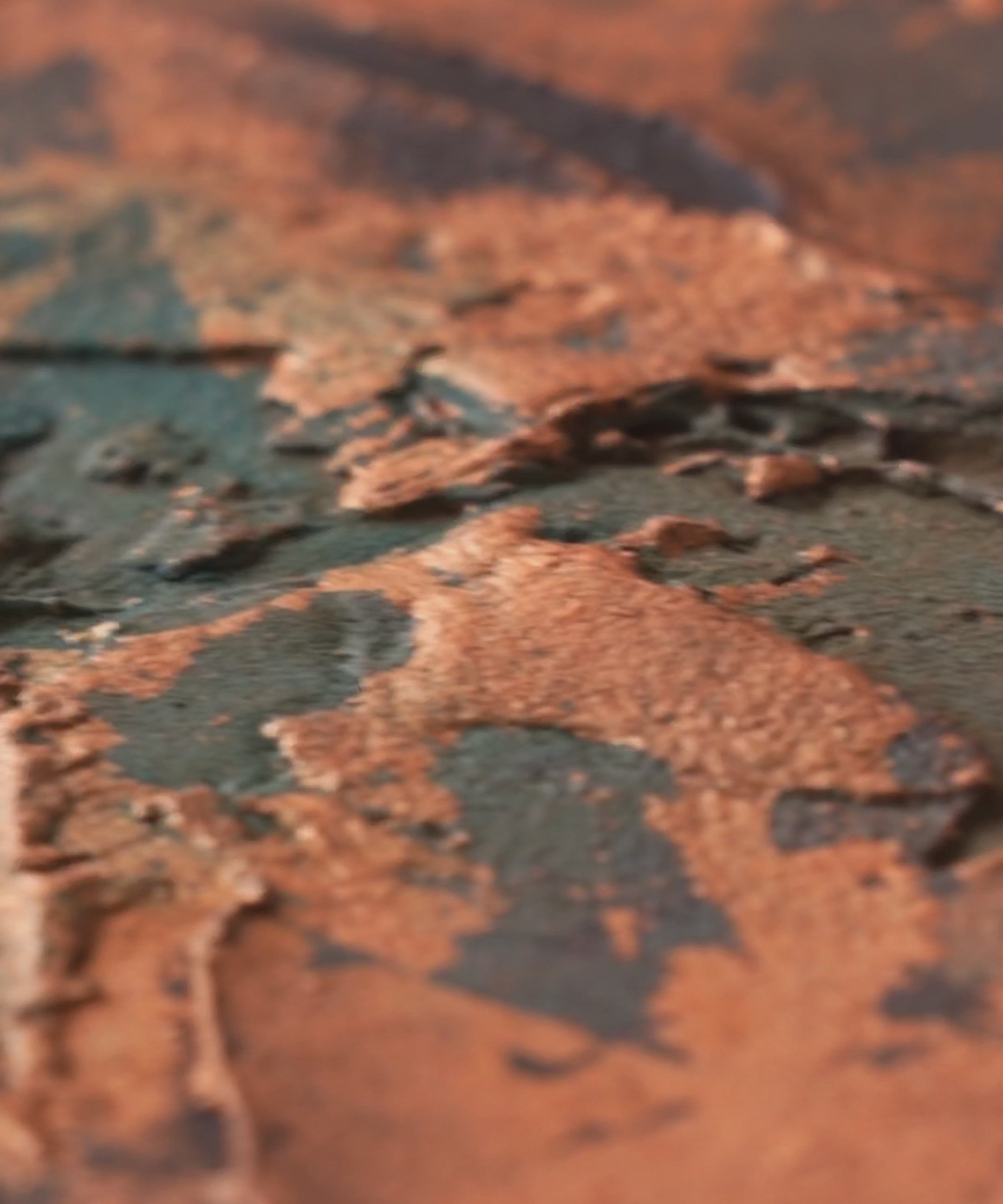 c6835f4dbdf9410b835644159dcee0b0.thumbnail.0000000000.jpg