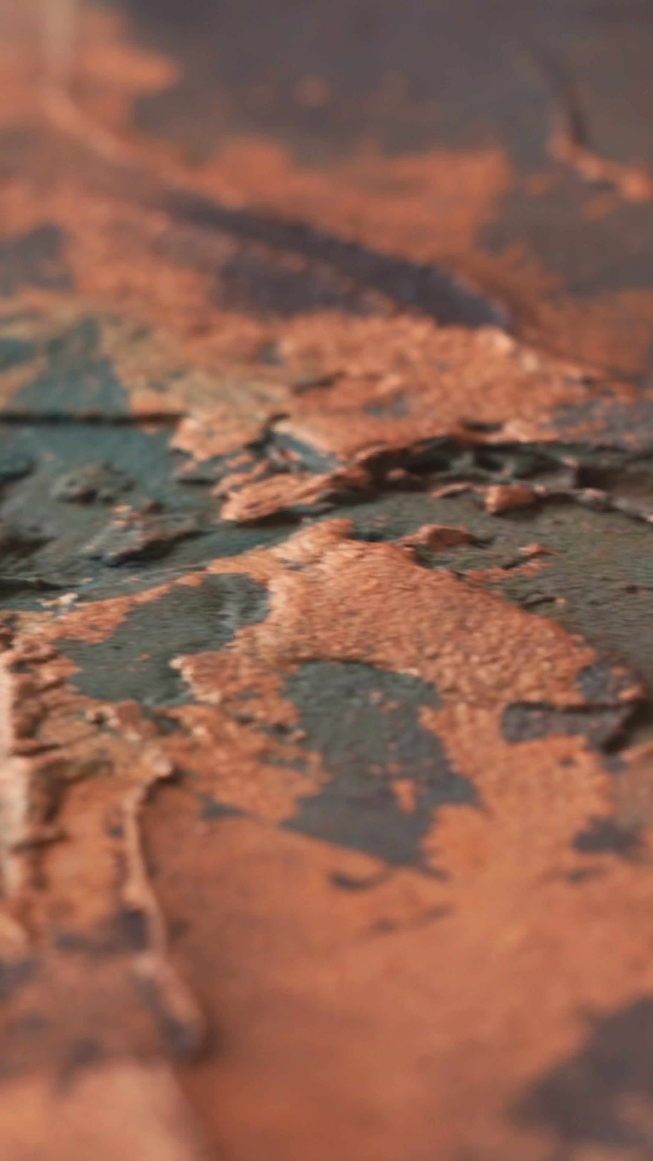 Original abstract painting on panel "Ancient Skin"